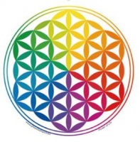 Adhésif Fleur de vie arc en ciel